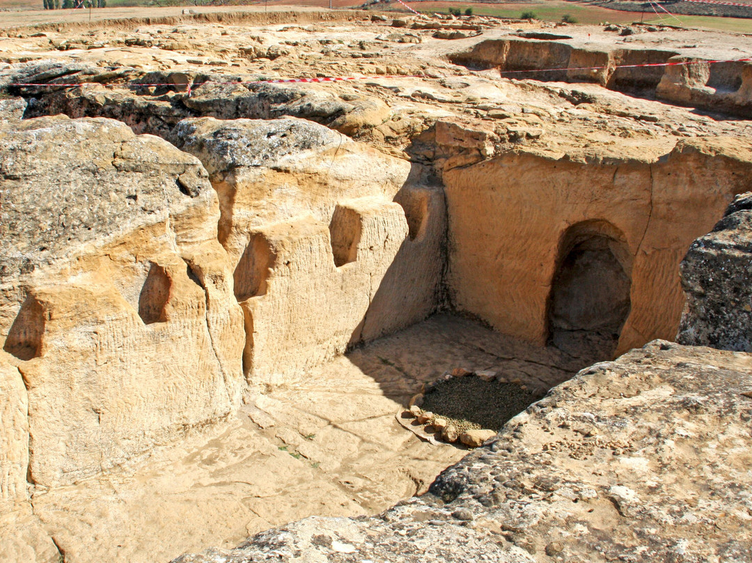 Yacimiento Arqueológico La Cava景点图片