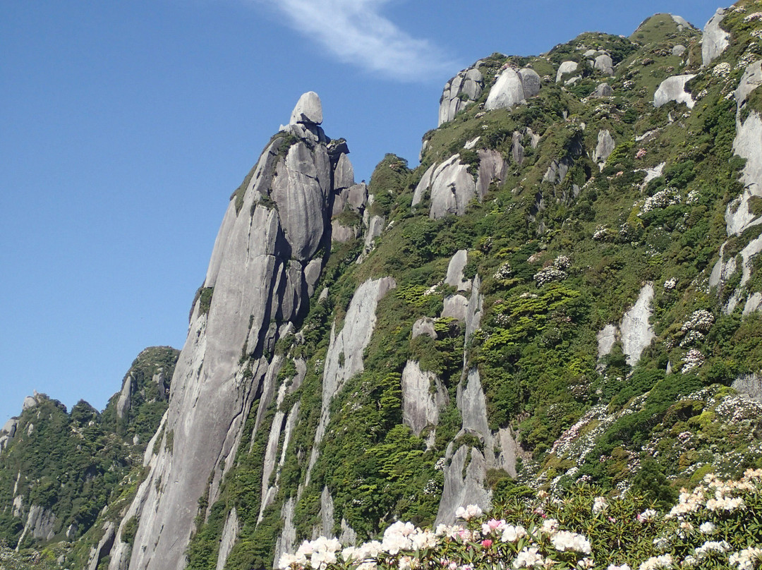 Yakushima National Park-屋久岛町必去景点