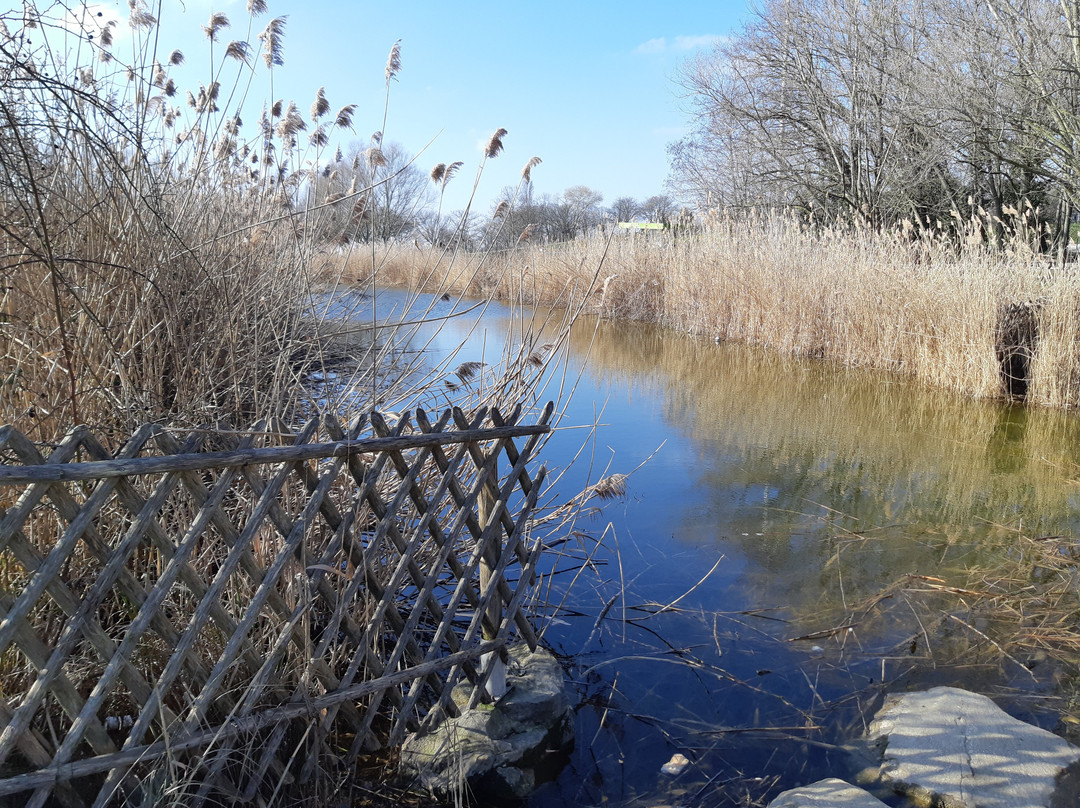 Parc Jean Moulin Les Guilands景点图片