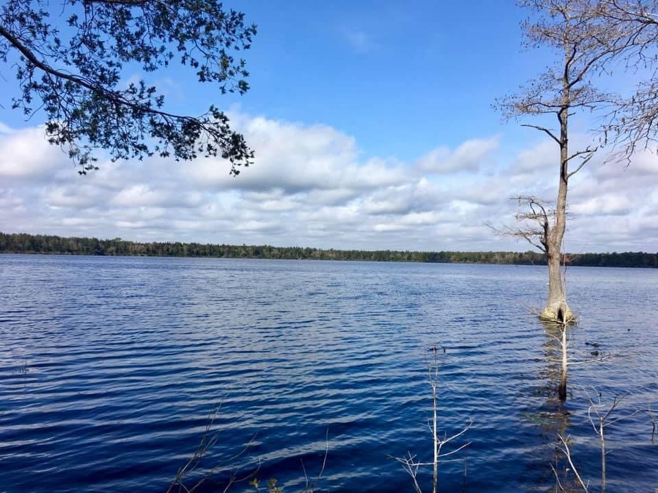 Jones Lake State Park景点图片