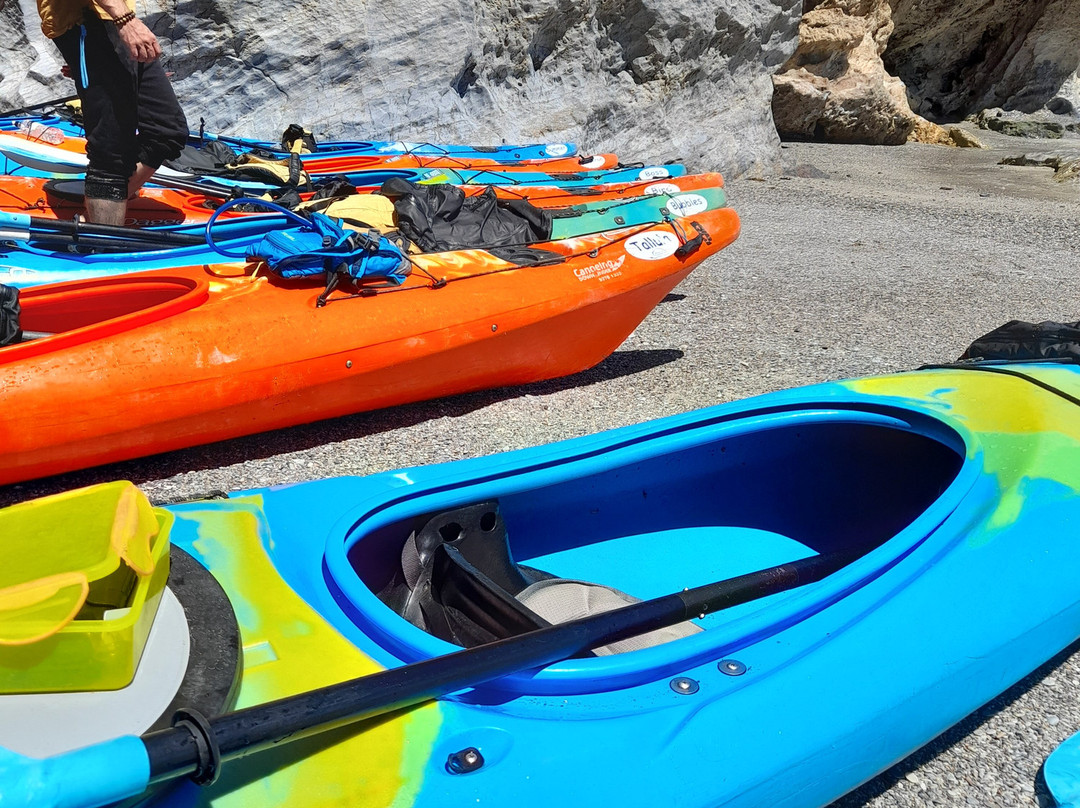 Adventure Kayaking SA-阿德莱德必去景点