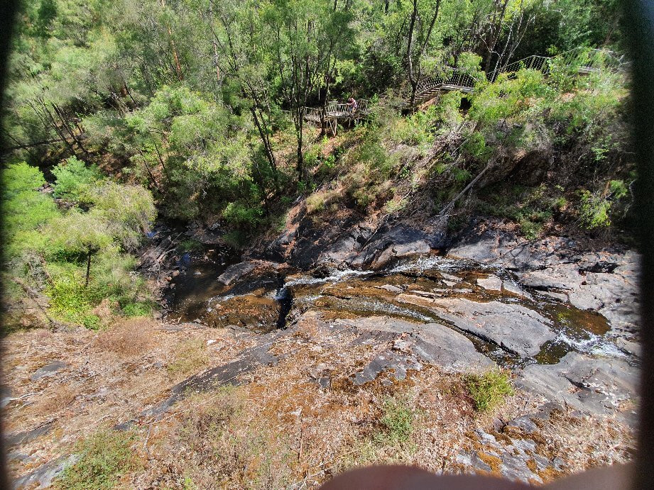 Beedelup National Park-彭伯顿必去景点