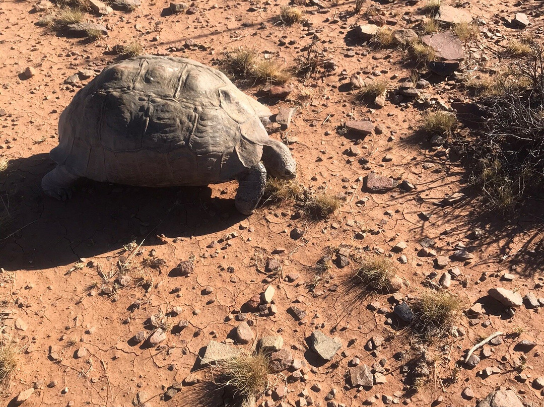 Elandsrus Country Lodge主图