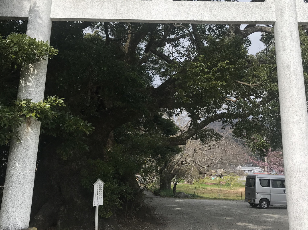 Sugihokowake no Mikoto Shrine (Kawazu Kinomiya Shrine)景点图片