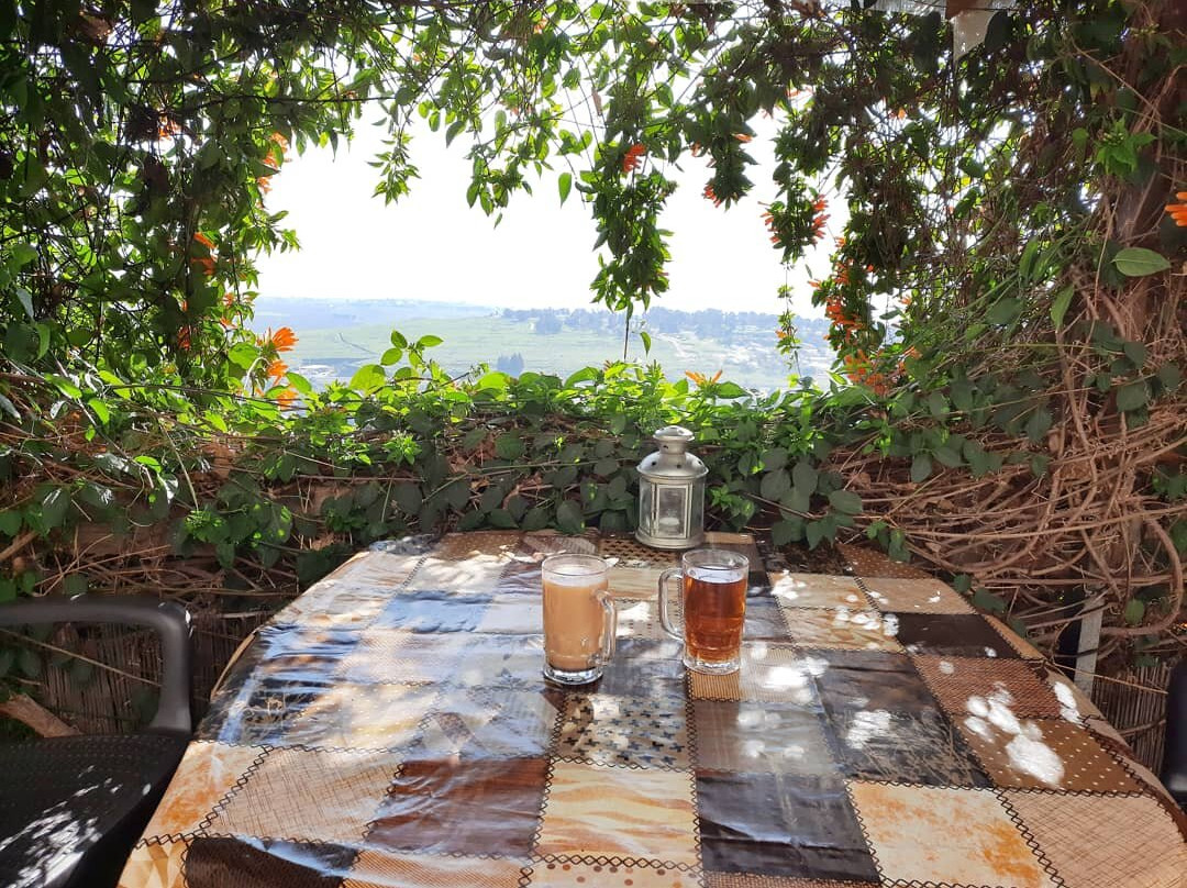 Miki's Rosh Pina主图