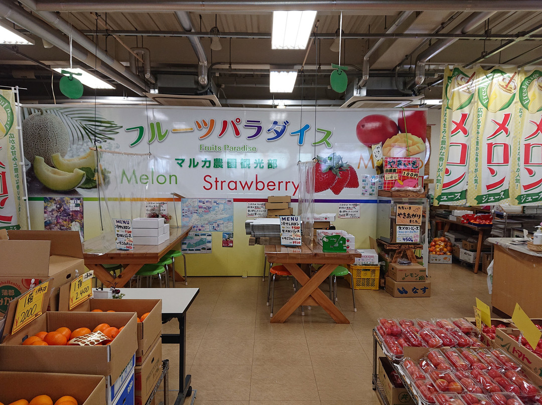 Michi-no-Eki Akabane Loco Station-田原市必去景点