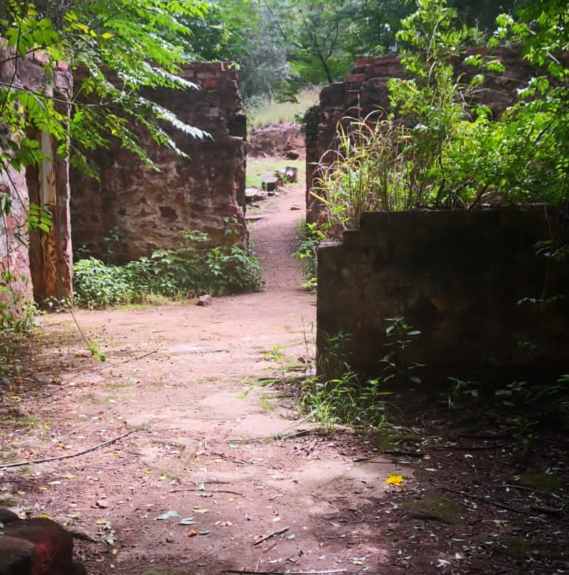 Rosemary Hill Mountain Bike Park-比勒陀利亚必去景点