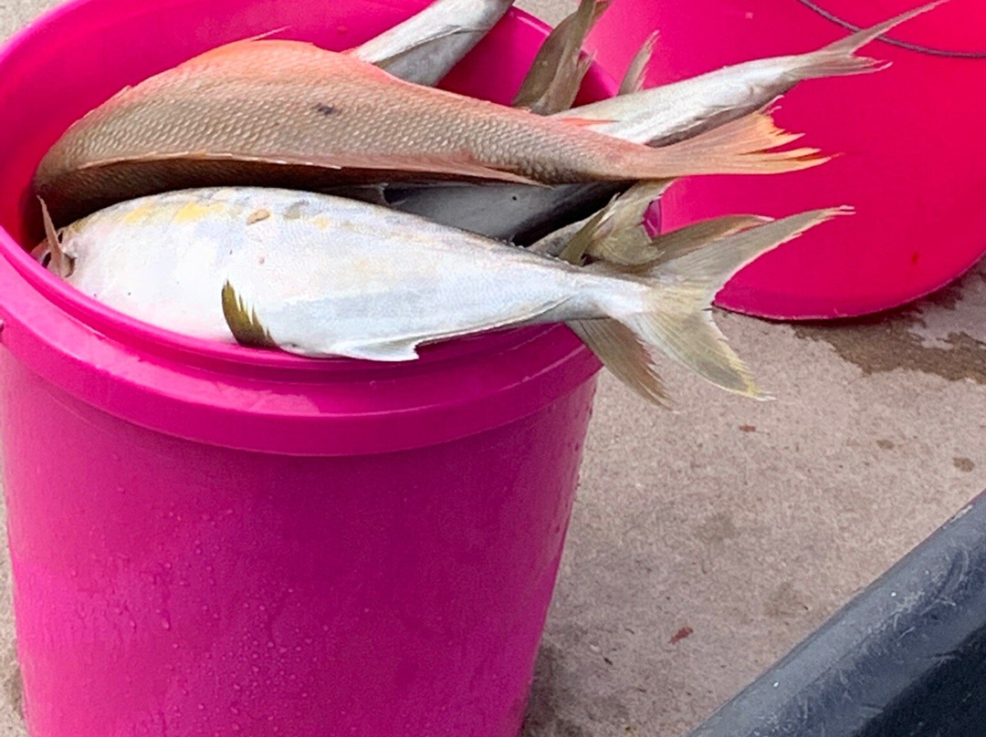 Good Time Charter Fishing-朱庇特必去景点