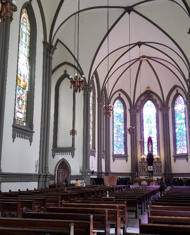 Metropolitana Cathedral景点图片