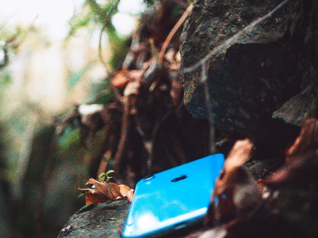 Chewacla State Park-奥本必去景点