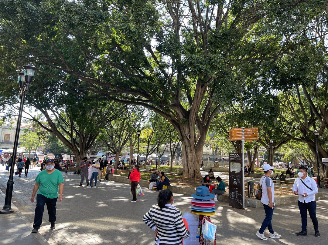 Parque Juarez  El Llano-瓦哈卡必去景点