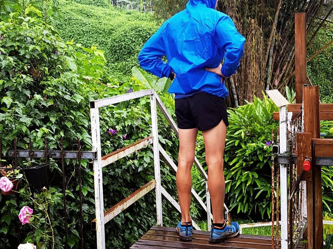 P'ti Blanc des O主图