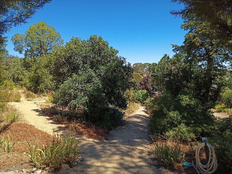 Buda Historic Home And Garden-Castlemaine必去景点