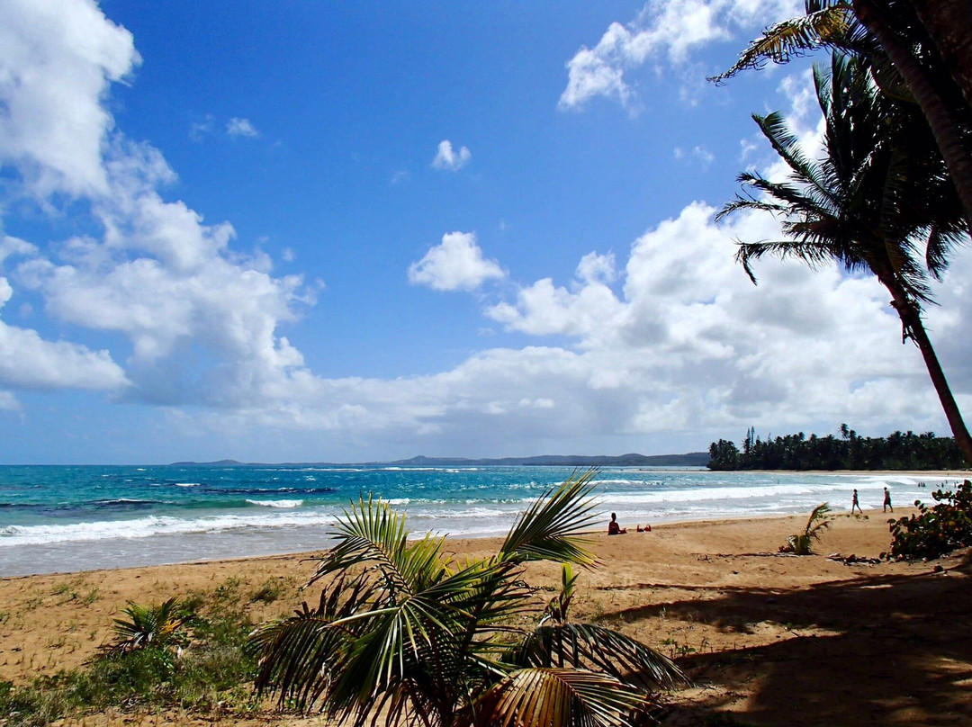 Playa Azul景点图片