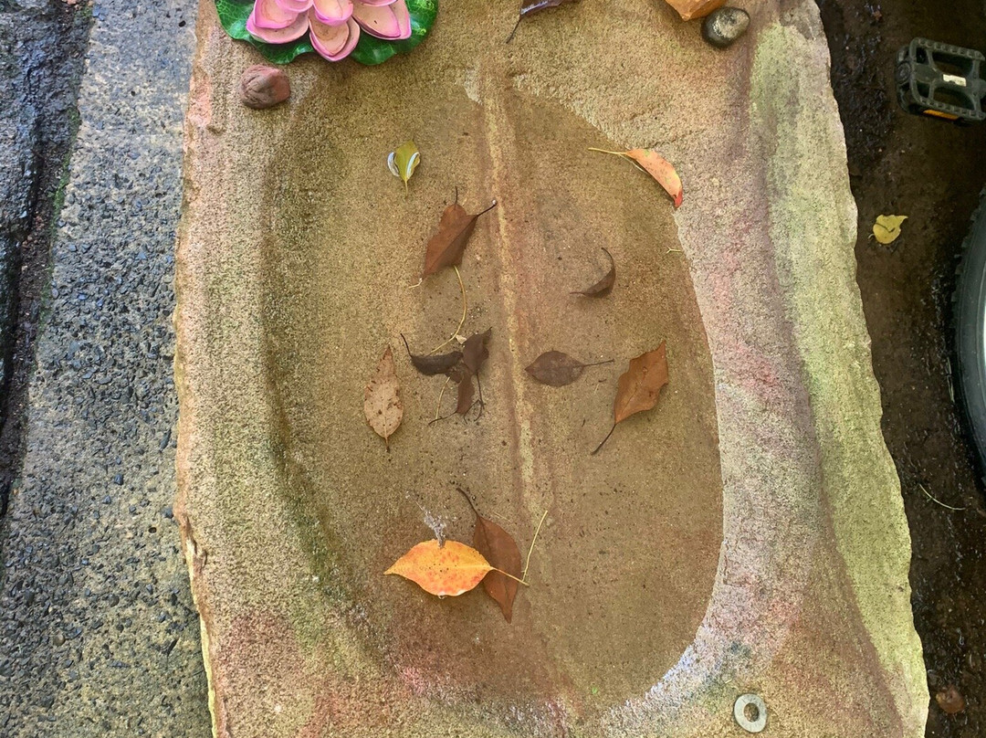 Nimbin Candles景点图片