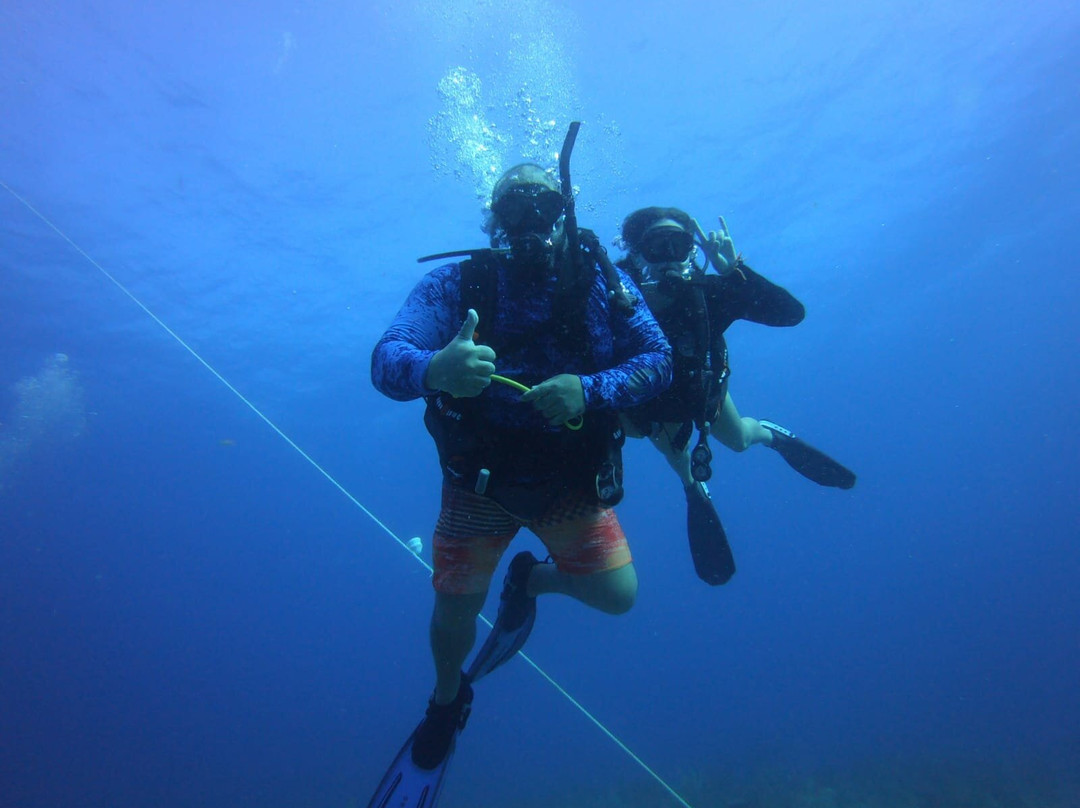 Neptunes Divers PR-Manati必去景点