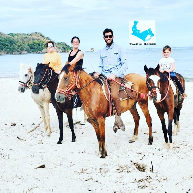 Pacific Horses景点图片
