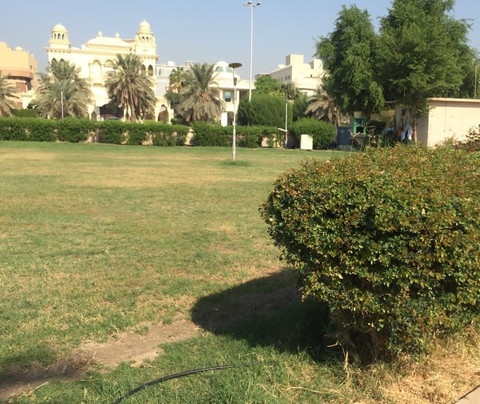 Jamal Abd A Naser Park