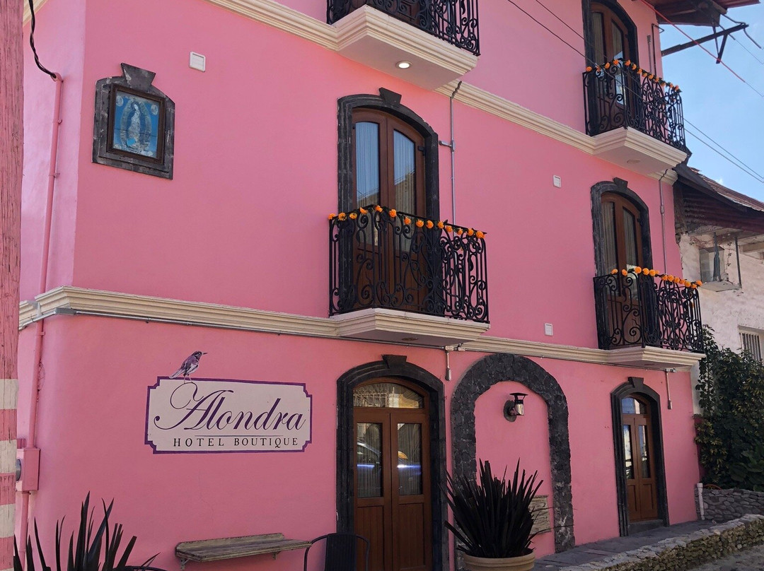 Alondra Hotel Boutique主图