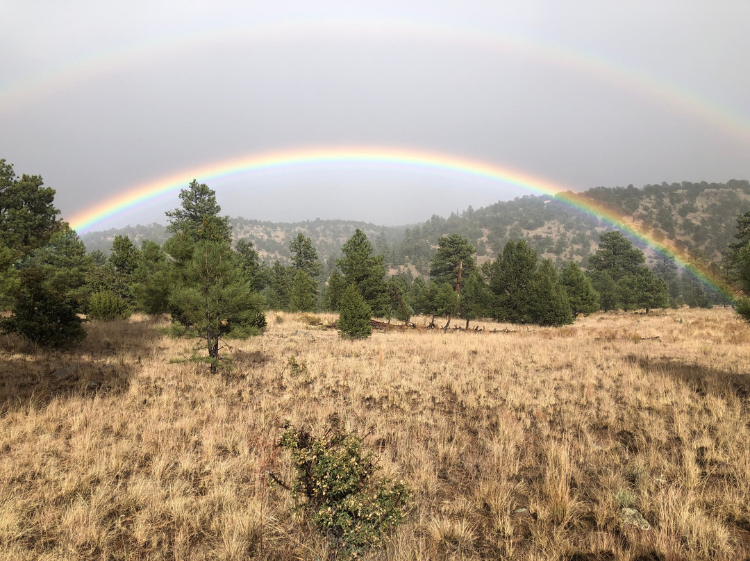 Concho Hills Guest Ranch-Magdalena必去景点