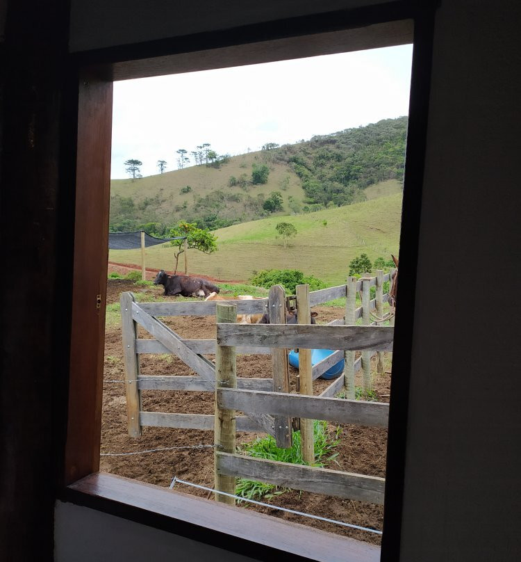 Quinta Do Papagaio主图