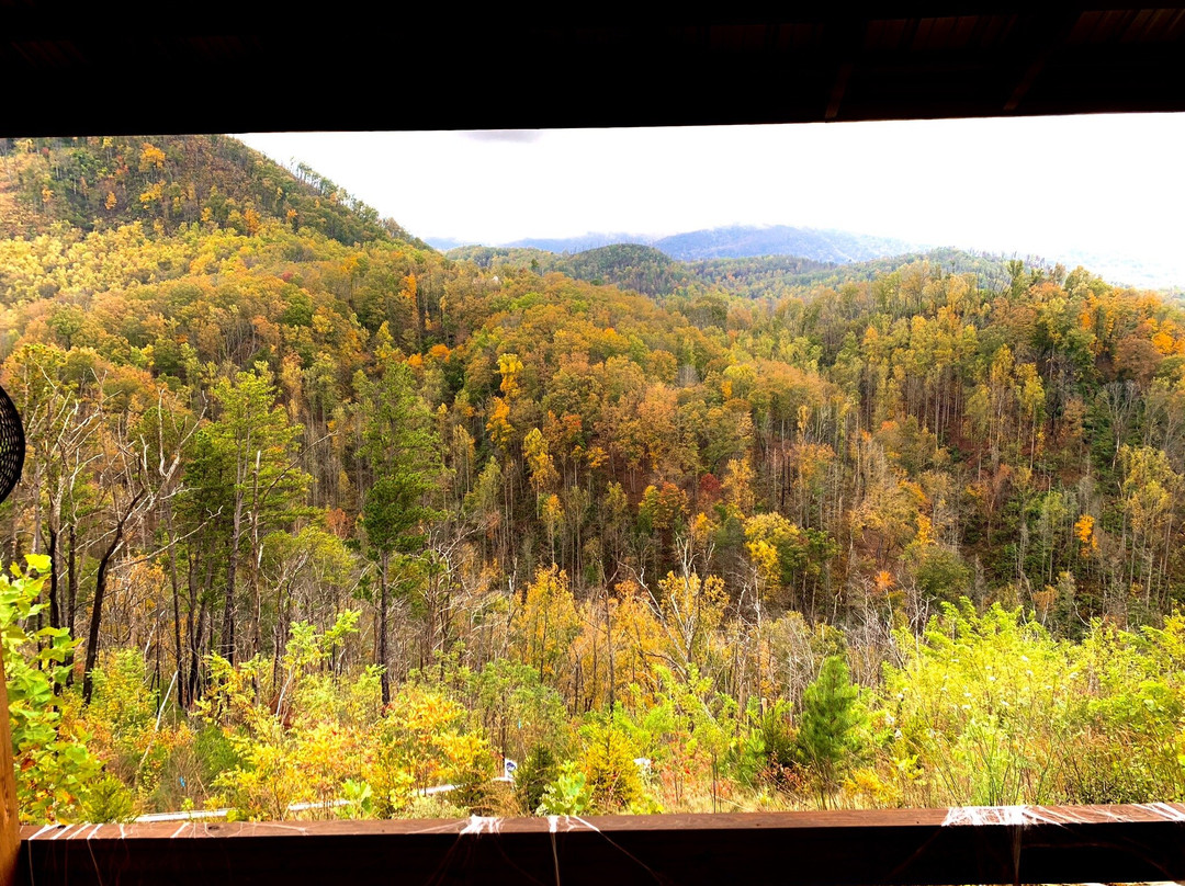 Rail Runner at Anakeesta-盖林柏格必去景点