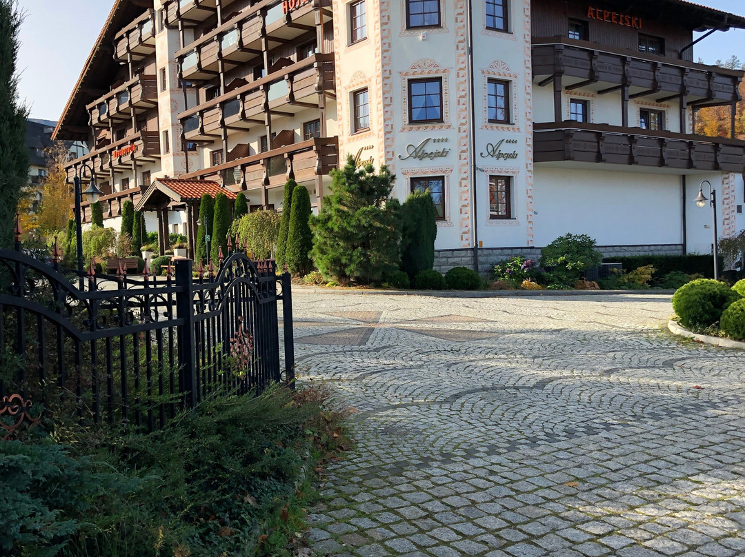 Alpejski Hotel主图