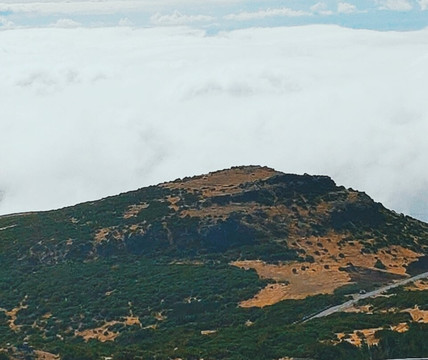 Secret Madeira-沙尔必去景点