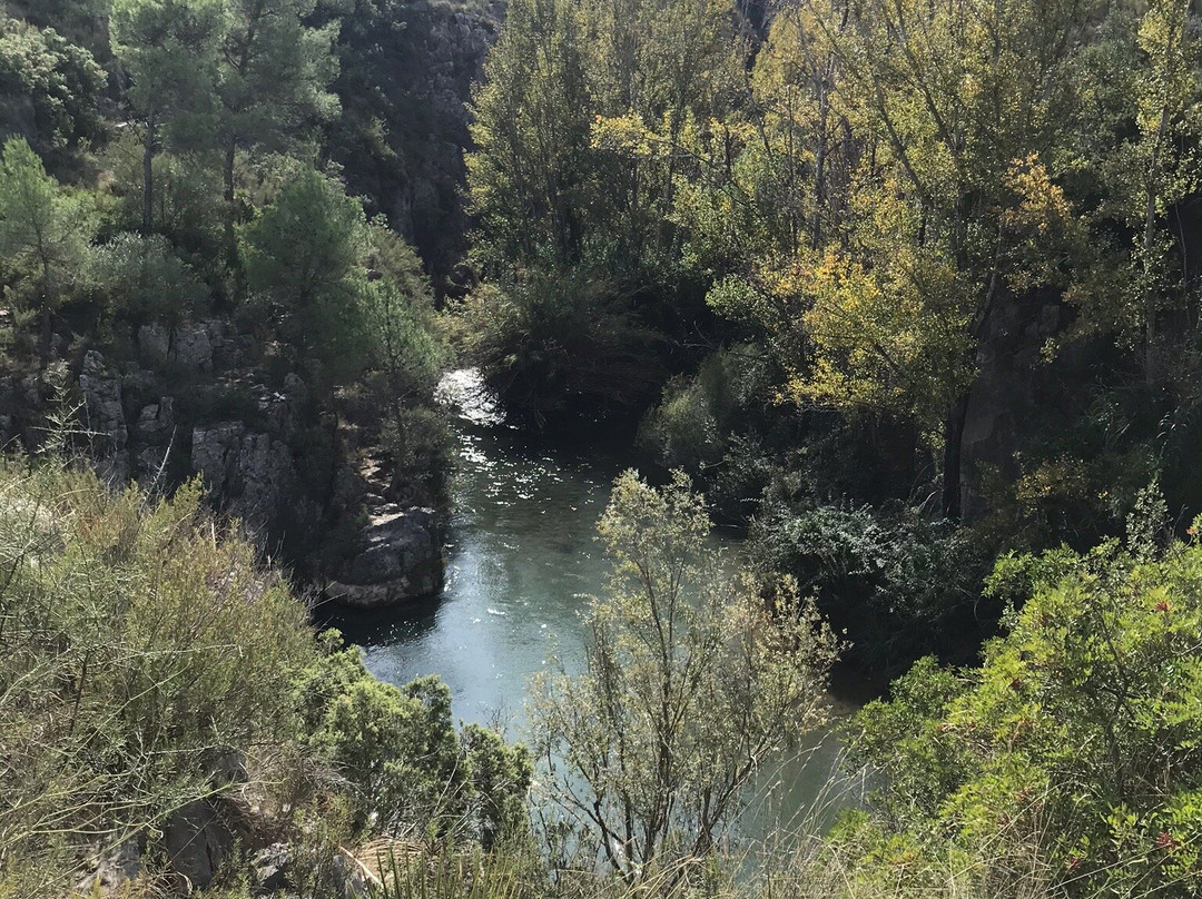 Puentes Colgantes景点图片
