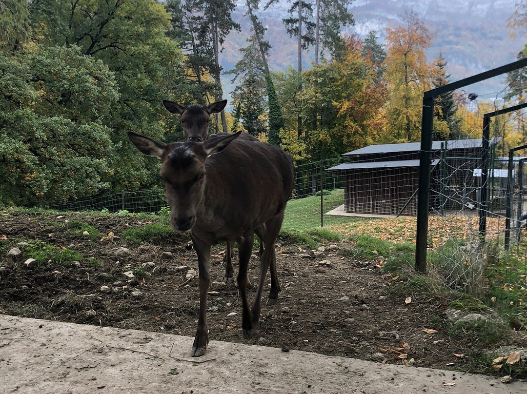 Parc Animalier de la Grande-Jeanne-安纳西必去景点
