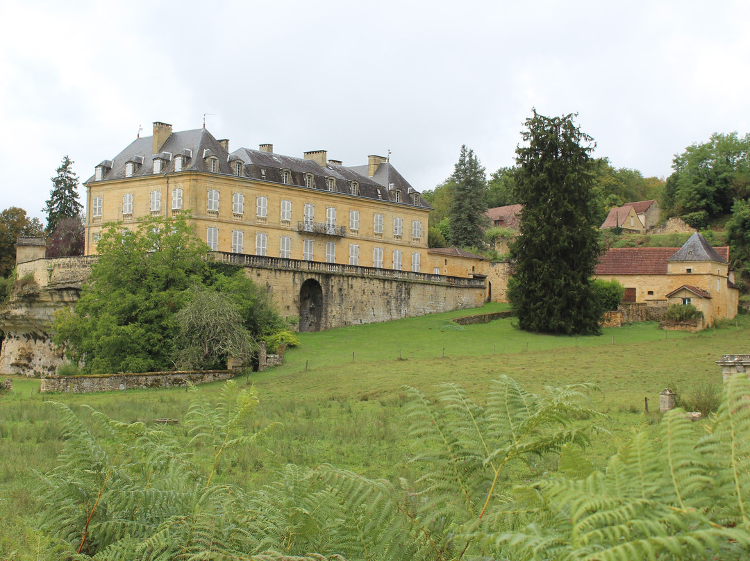 Chateau du Roc景点图片