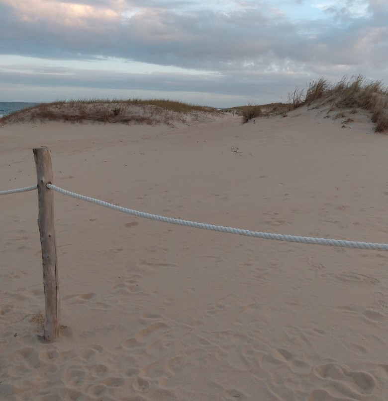 Fenwick Island State Park-Fenwick Island必去景点