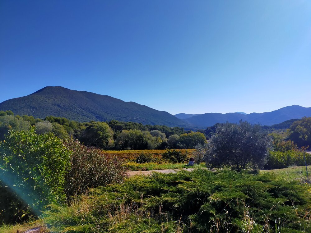 Domaine de Provensol-官方