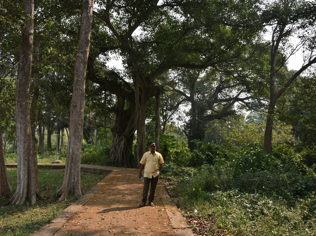 Adurru Excavation Site景点图片