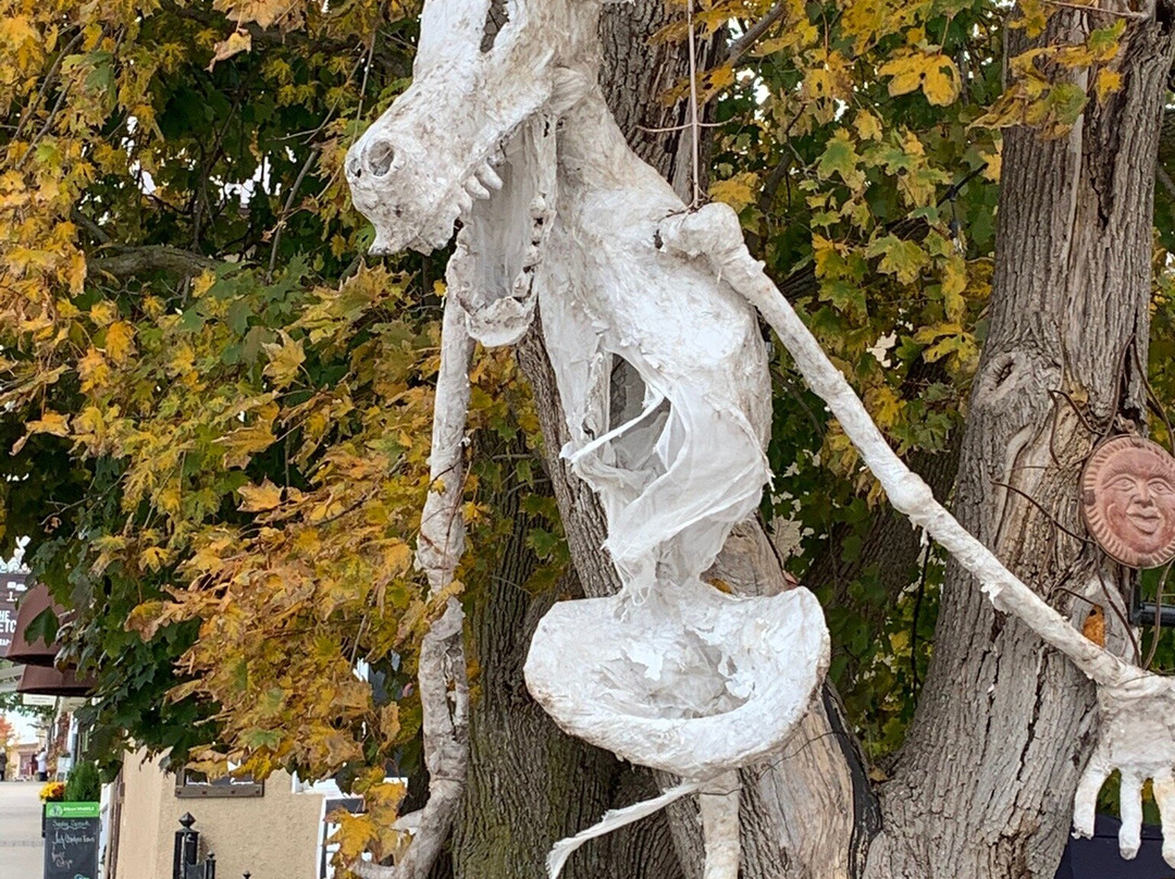 Downtown Elora-伊劳拉必去景点