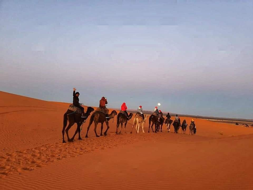 Erg Chebbi Dunes-梅克内斯-塔菲拉勒特区必去景点