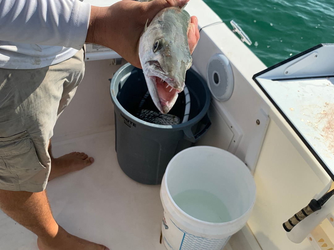 Outta Line Charters-基韦斯特必去景点