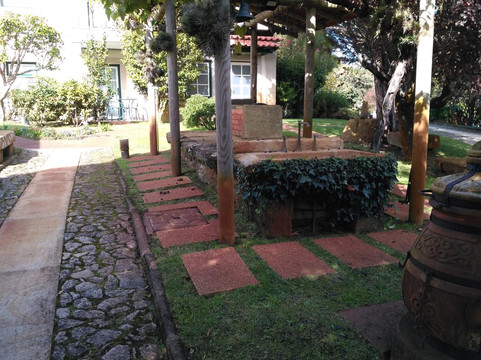 Rinoterra Minho主图