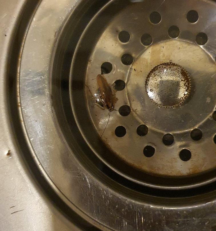 Yanbu Lakes-Yanbu必去景点