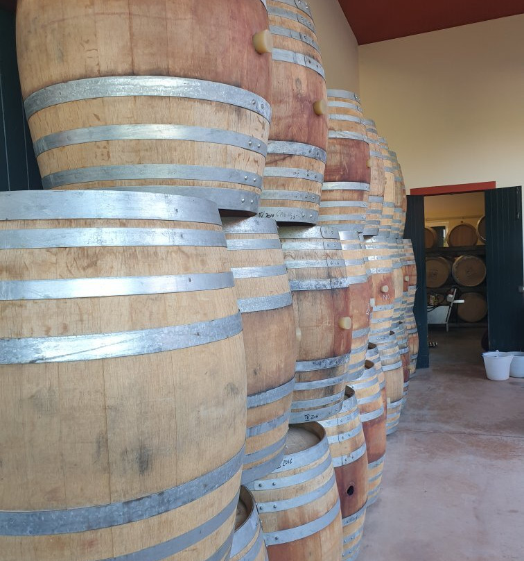 Barollo Winery景点图片