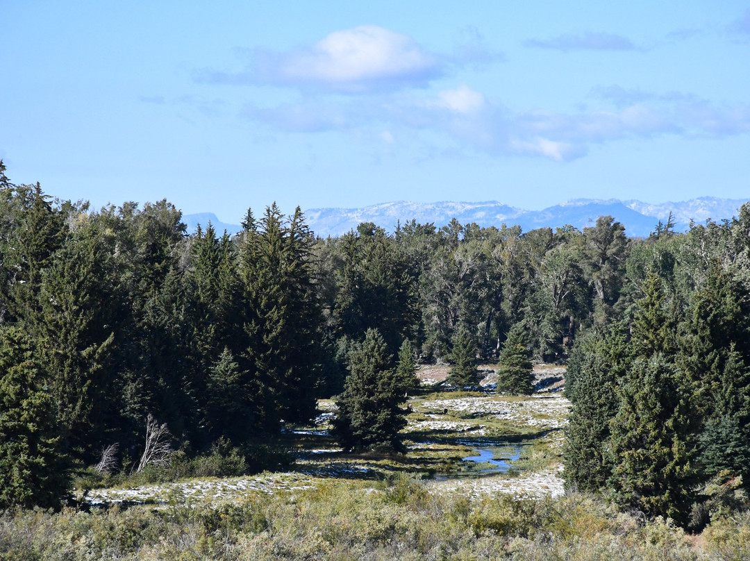 Blacktail Ponds Overlook景点图片