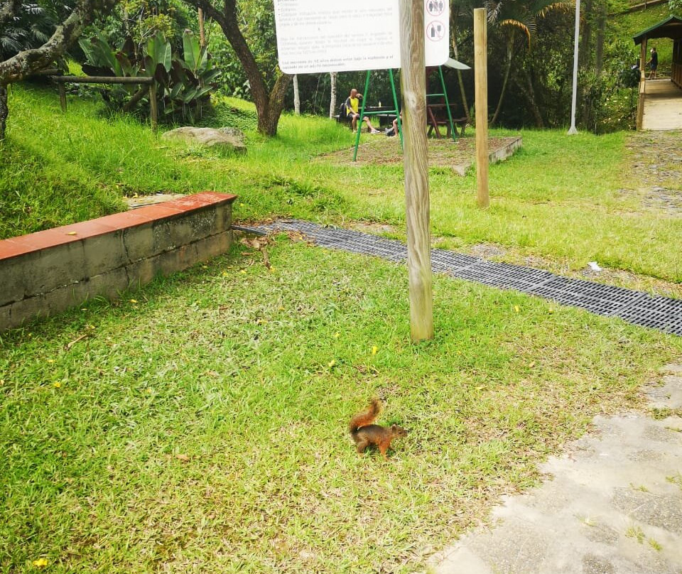 Parque Comfama la Estrella-La Estrella必去景点