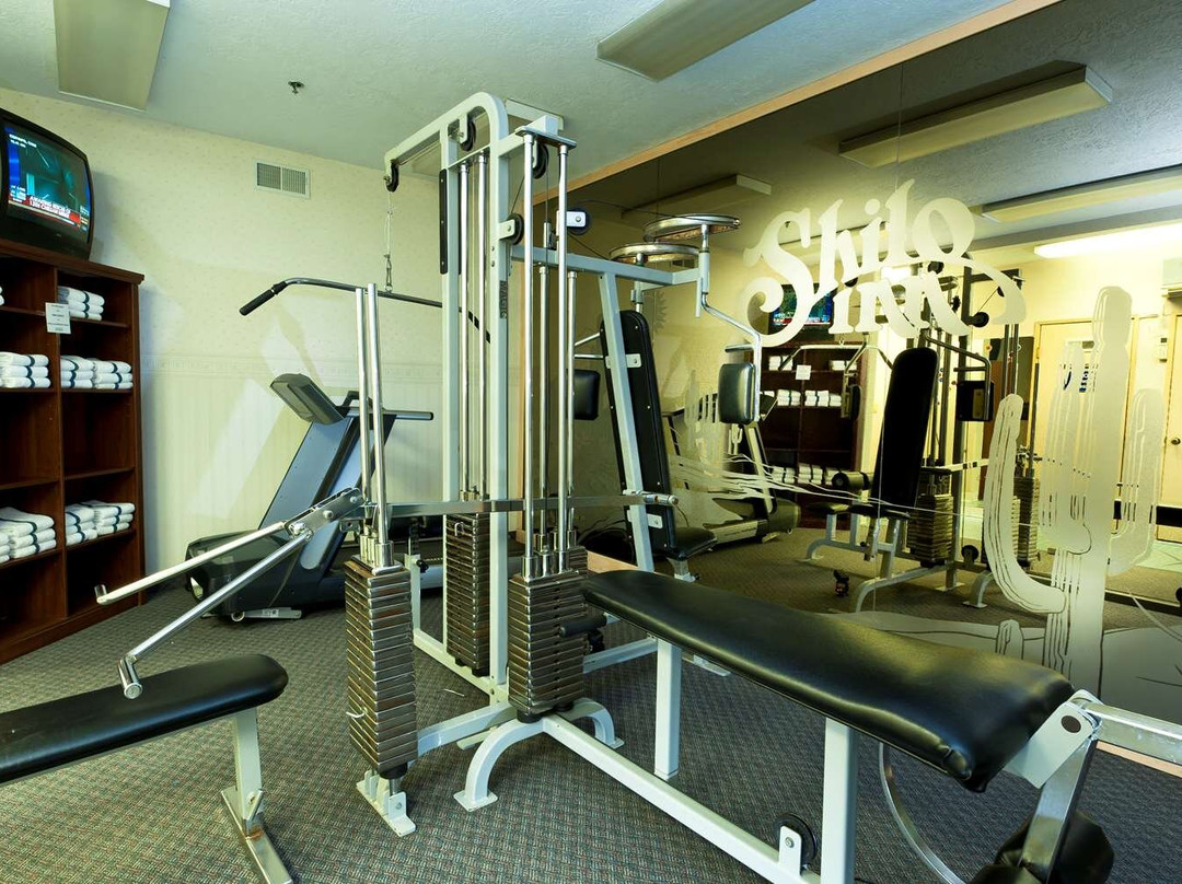 艾尔科希洛酒店主图