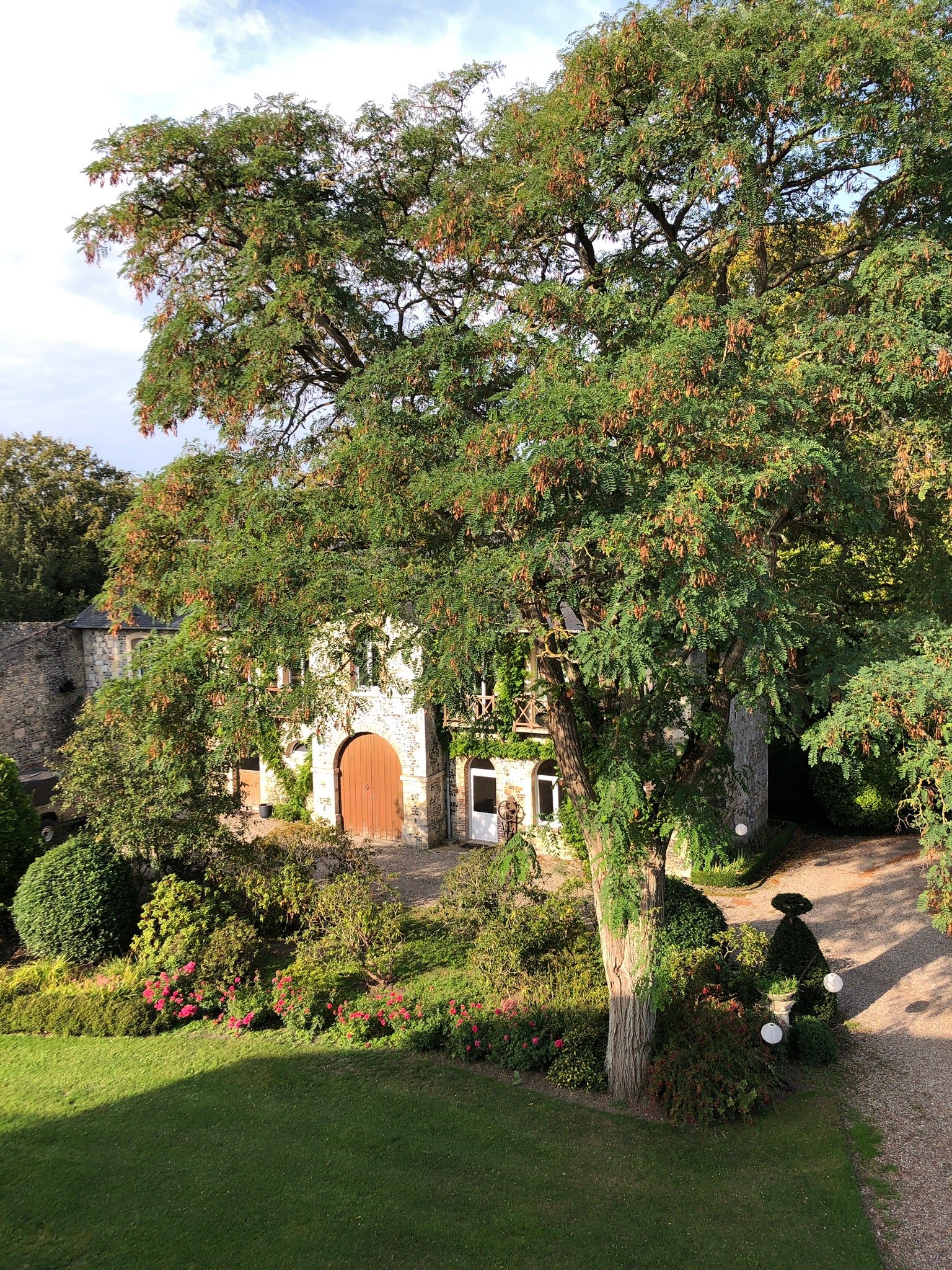 Le Castel-官方