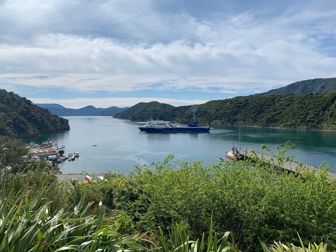 Picton Sound景点图片