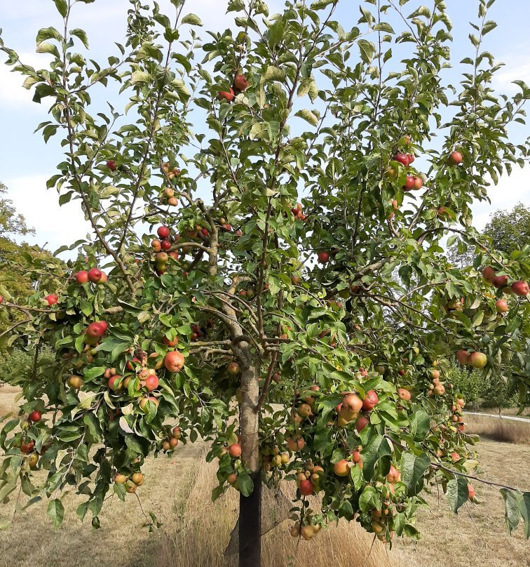 Chateau de Mereville-Mereville必去景点