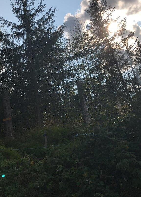 Adlerfelsen-Eibenstock必去景点