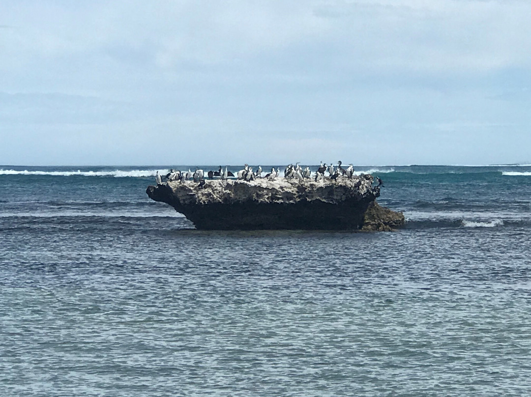 Hangover Bay-塞万提斯必去景点