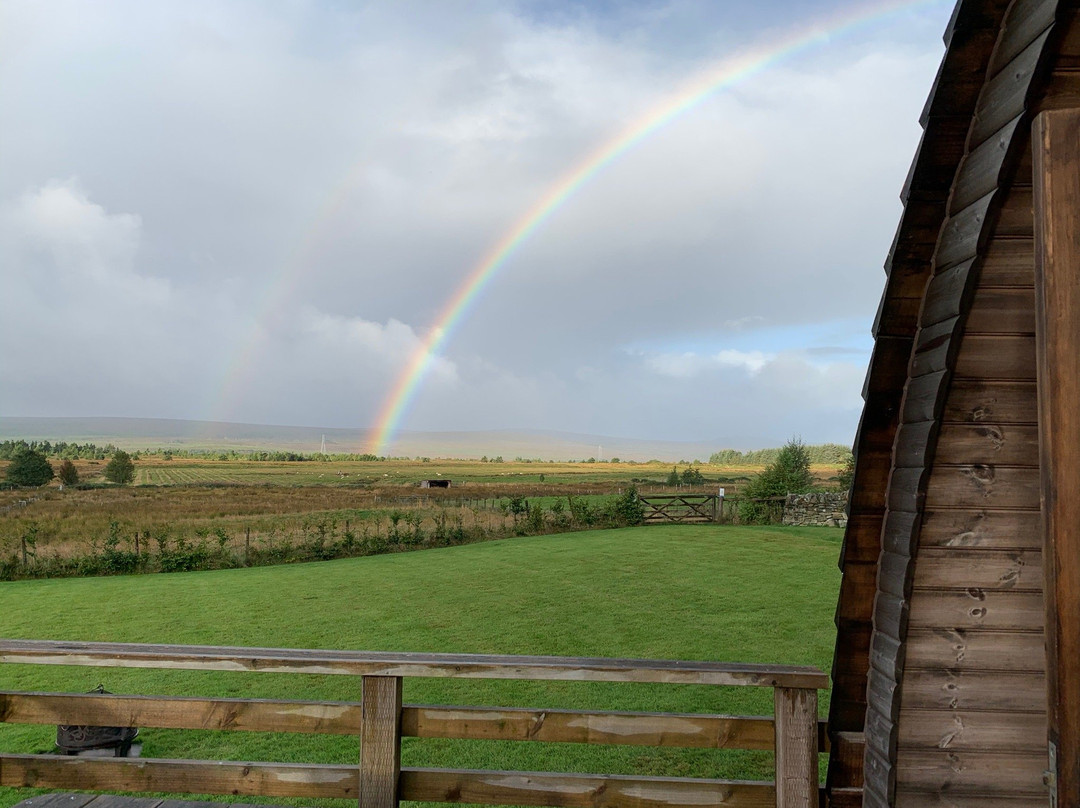 Loch Shin Glamping Pods