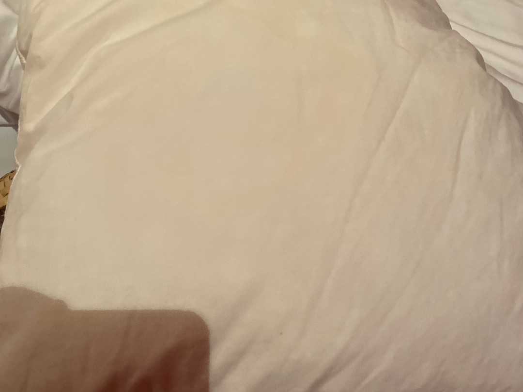 世界尽头酒店主图